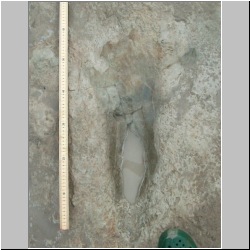 102_6459 (2013-08-09)mod.JPG